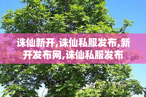 诛仙新开,诛仙私服发布,新开发布网,诛仙私服发布
