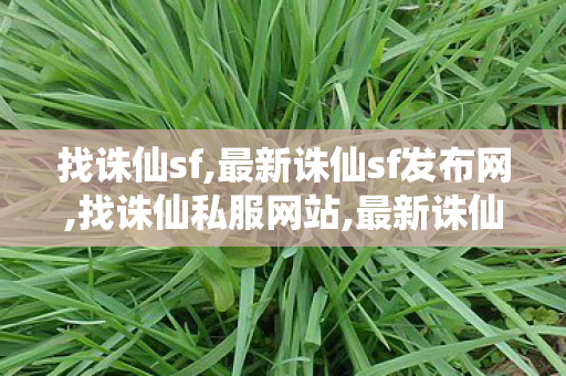 找诛仙sf,最新诛仙sf发布网,找诛仙私服网站,最新诛仙sf发布网