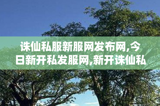 诛仙私服新服网发布网,今日新开私发服网,新开诛仙私服刚开一秒,今日新开私发服网