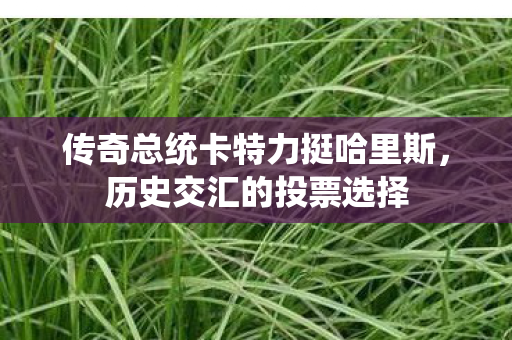 传奇总统卡特力挺哈里斯，历史交汇的投票选择