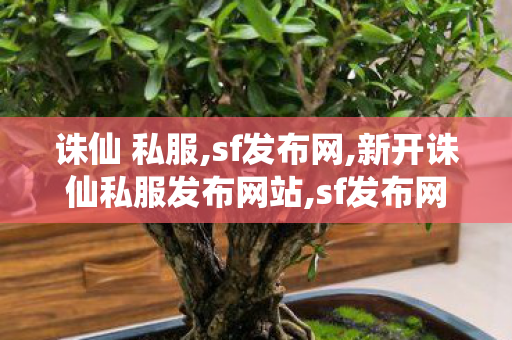 诛仙 私服,sf发布网,新开诛仙私服发布网站,sf发布网