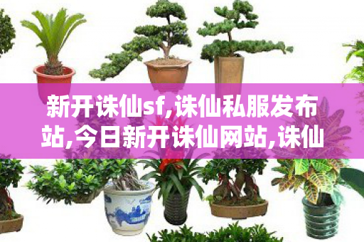 新开诛仙sf,诛仙私服发布站,今日新开诛仙网站,诛仙私服发布站