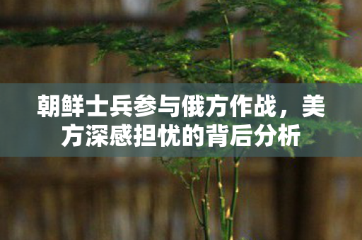 朝鲜士兵参与俄方作战，美方深感担忧的背后分析