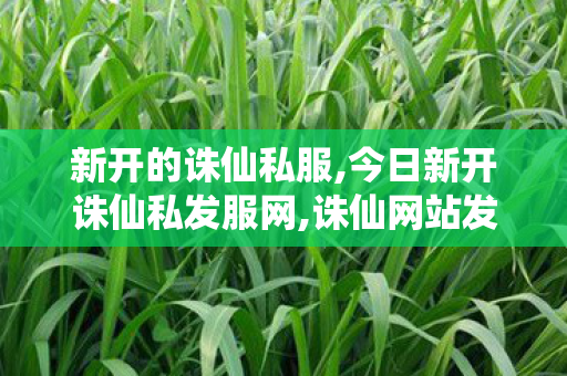 新开的诛仙私服,今日新开诛仙私发服网,诛仙网站发布网,今日新开诛仙私发服网