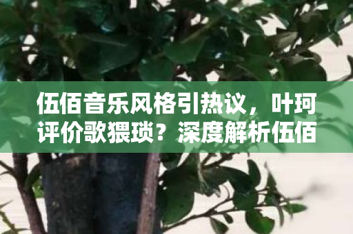 伍佰音乐风格引热议，叶珂评价歌猥琐？深度解析伍佰音乐魅力与内涵