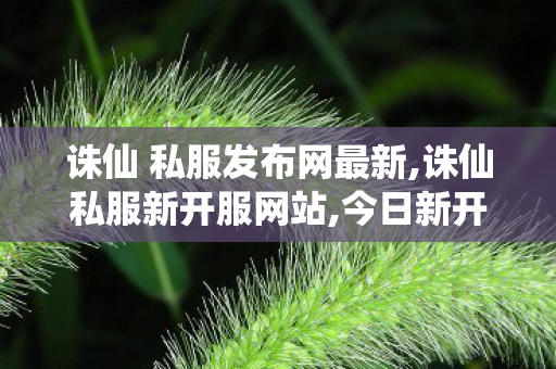 诛仙 私服发布网最新,诛仙私服新开服网站,今日新开网站发布网,诛仙私服新开服网站