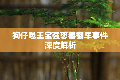 狗仔曝王宝强慈善翻车事件深度解析