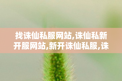 找诛仙私服网站,诛仙私新开服网站,新开诛仙私服,诛仙私新开服网站