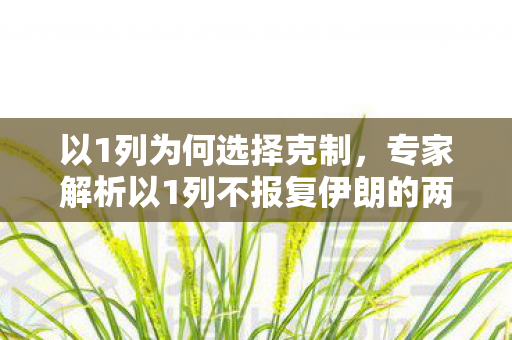 以1列为何选择克制，专家解析以1列不报复伊朗的两大核心担忧