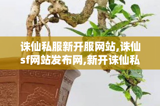 诛仙私服新开服网站,诛仙sf网站发布网,新开诛仙私服,诛仙sf网站发布网