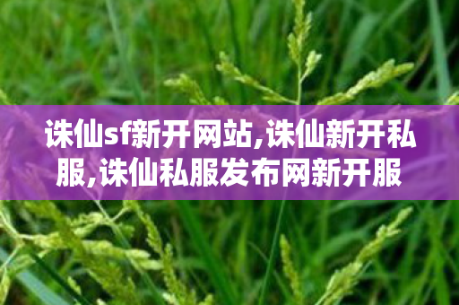 诛仙sf新开网站,诛仙新开私服,诛仙私服发布网新开服,诛仙新开私服