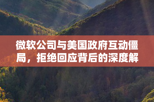 微软公司与美国政府互动僵局，拒绝回应背后的深度解析