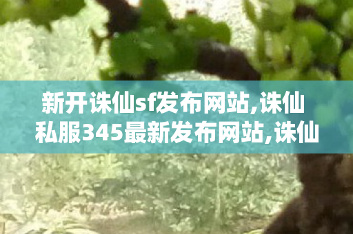 新开诛仙sf发布网站,诛仙 私服345最新发布网站,诛仙sf发布网,诛仙 私服345最新发布网站