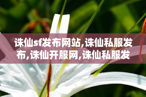 诛仙sf发布网站,诛仙私服发布,诛仙开服网,诛仙私服发布