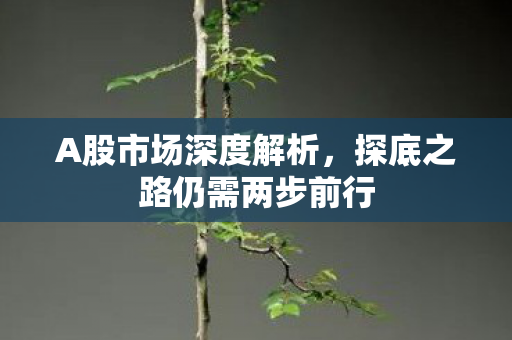 A股市场深度解析，探底之路仍需两步前行