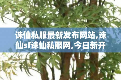 诛仙私服最新发布网站,诛仙sf诛仙私服网,今日新开诛仙发布网,诛仙sf诛仙私服网