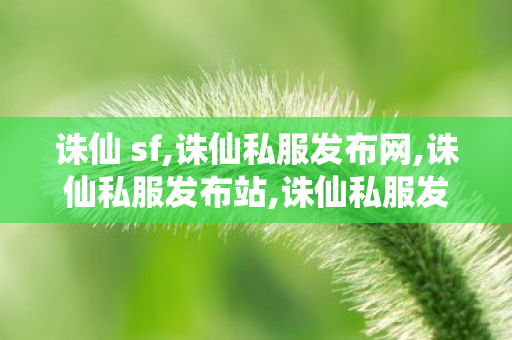 诛仙 sf,诛仙私服发布网,诛仙私服发布站,诛仙私服发布网
