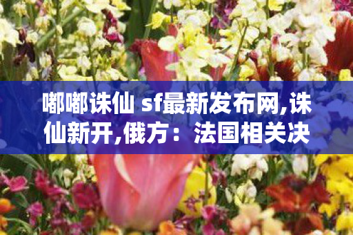 嘟嘟诛仙 sf最新发布网,诛仙新开,俄方：法国相关决定正在终结乌克兰,诛仙新开