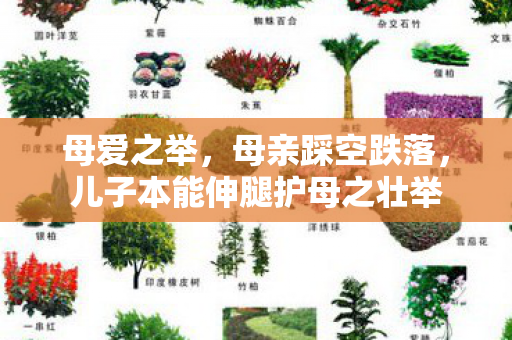 母爱之举，母亲踩空跌落，儿子本能伸腿护母之壮举