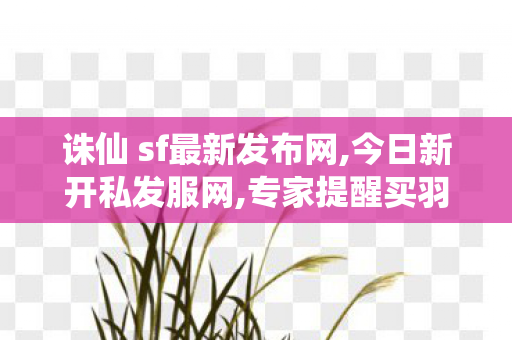 诛仙 sf最新发布网,今日新开私发服网,专家提醒买羽绒衣切莫图便宜,今日新开私发服网
