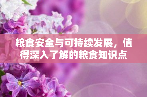 粮食安全与可持续发展，值得深入了解的粮食知识点