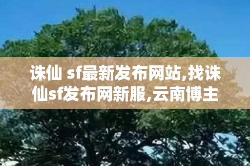 诛仙 sf最新发布网站,找诛仙sf发布网新服,云南博主分享农村“野味”生活,找诛仙sf发布网新服