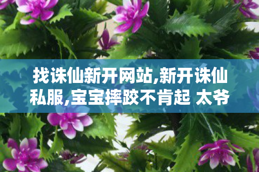 找诛仙新开网站,新开诛仙私服,宝宝摔跤不肯起 太爷爷直接踢出去,新开诛仙私服