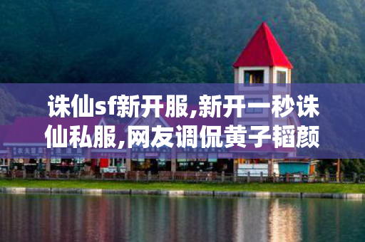 诛仙sf新开服,新开一秒诛仙私服,网友调侃黄子韬颜值被卡在了海关,新开一秒诛仙私服
