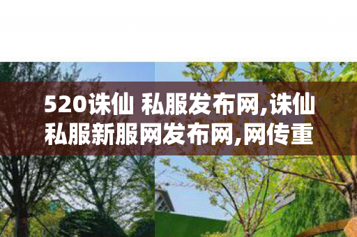 520诛仙 私服发布网,诛仙私服新服网发布网,网传重庆一私家车撞上军用装甲车,诛仙私服新服网发布网