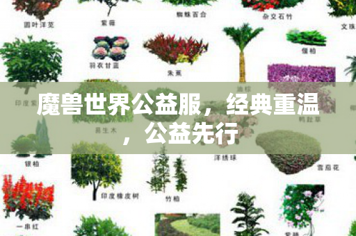 魔兽世界公益服，经典重温，公益先行