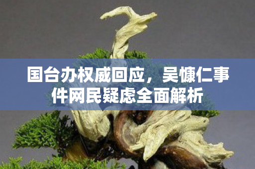 国台办权威回应，吴慷仁事件网民疑虑全面解析