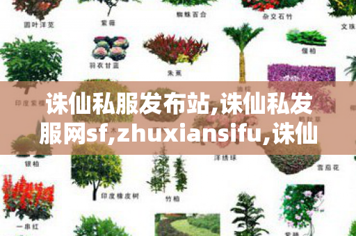 诛仙私服发布站,诛仙私发服网sf,zhuxiansifu,诛仙私发服网sf
