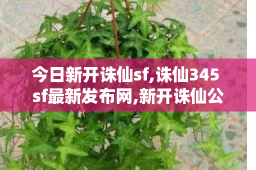 今日新开诛仙sf,诛仙345 sf最新发布网,新开诛仙公益服发布网,诛仙345 sf最新发布网