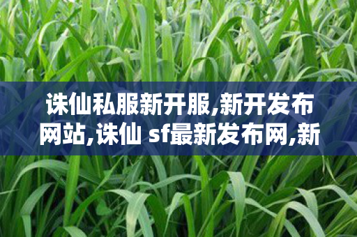 诛仙私服新开服,新开发布网站,诛仙 sf最新发布网,新开发布网站