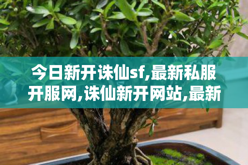 今日新开诛仙sf,最新私服开服网,诛仙新开网站,最新私服开服网