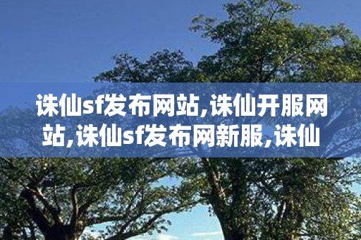 诛仙sf发布网站,诛仙开服网站,诛仙sf发布网新服,诛仙开服网站