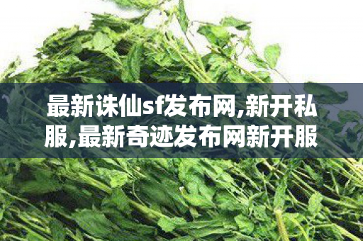 最新诛仙sf发布网,新开私服,最新奇迹发布网新开服,新开私服