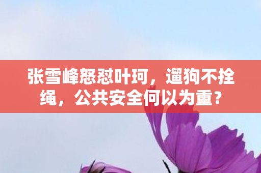 张雪峰怒怼叶珂，遛狗不拴绳，公共安全何以为重？