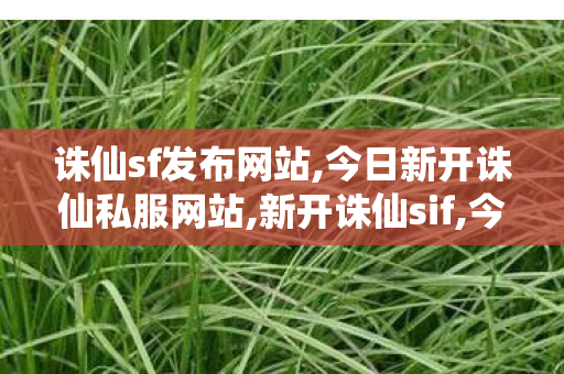 诛仙sf发布网站,今日新开诛仙私服网站,新开诛仙sif,今日新开诛仙私服网站