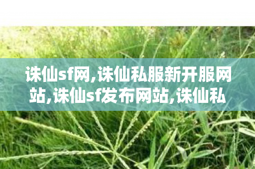 诛仙sf网,诛仙私服新开服网站,诛仙sf发布网站,诛仙私服新开服网站