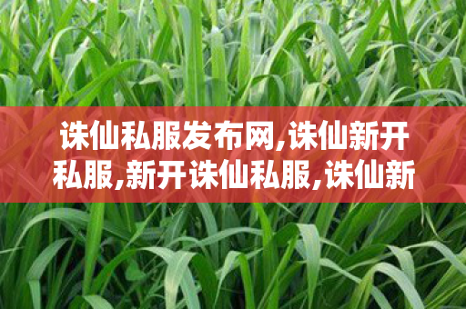 诛仙私服发布网,诛仙新开私服,新开诛仙私服,诛仙新开私服