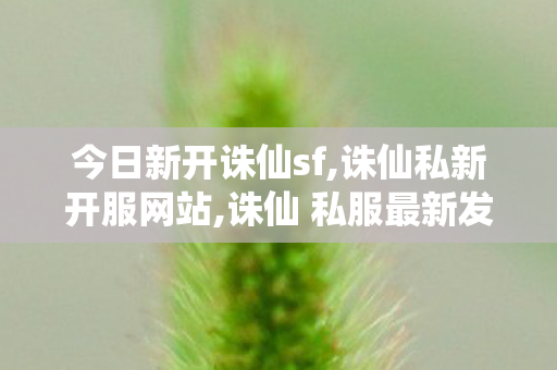 今日新开诛仙sf,诛仙私新开服网站,诛仙 私服最新发布网站,诛仙私新开服网站