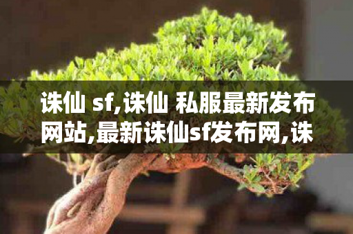诛仙 sf,诛仙 私服最新发布网站,最新诛仙sf发布网,诛仙 私服最新发布网站