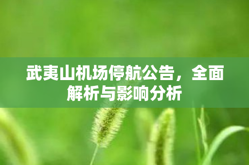 武夷山机场停航公告，全面解析与影响分析