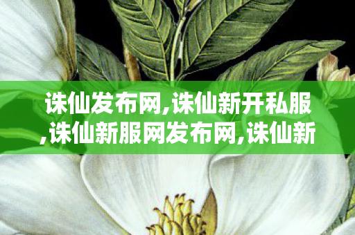 诛仙发布网,诛仙新开私服,诛仙新服网发布网,诛仙新开私服