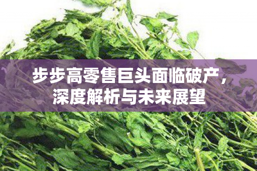步步高零售巨头面临破产，深度解析与未来展望
