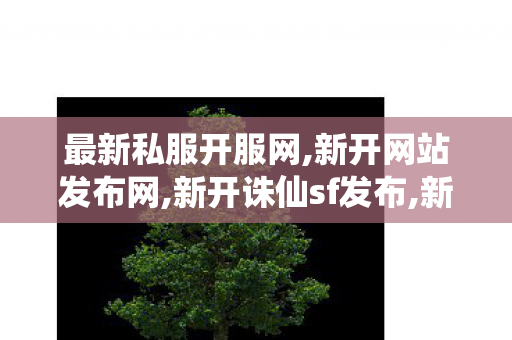 最新私服开服网,新开网站发布网,新开诛仙sf发布,新开网站发布网
