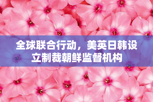 全球联合行动，美英日韩设立制裁朝鲜监督机构