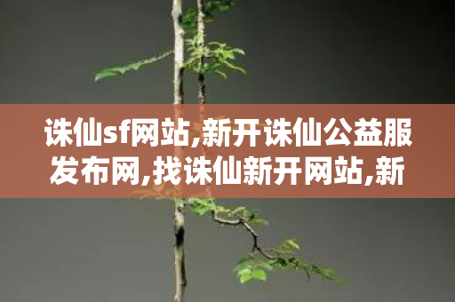 诛仙sf网站,新开诛仙公益服发布网,找诛仙新开网站,新开诛仙公益服发布网