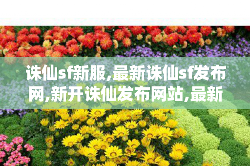 诛仙sf新服,最新诛仙sf发布网,新开诛仙发布网站,最新诛仙sf发布网